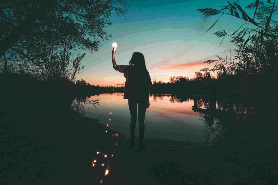 Spark natuur